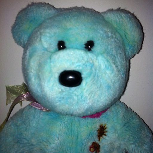 cropped-teddy-11.jpg