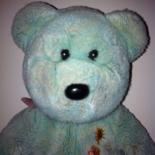 cropped-teddy-31.jpg