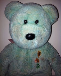 cropped-teddy-32.jpg